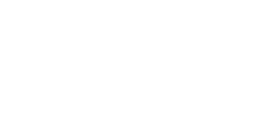 Partner 7